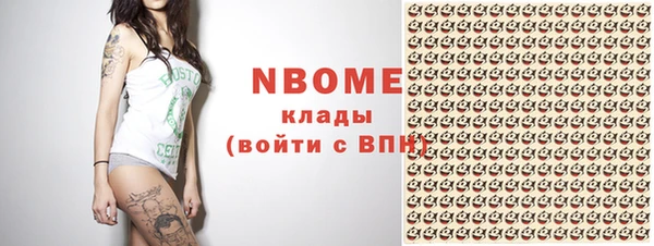стаф Новокубанск