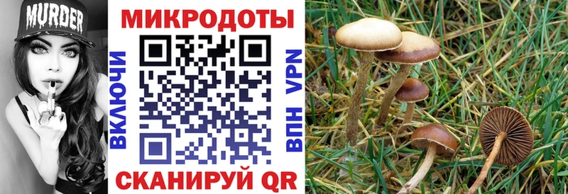 где продают наркотики  мега ТОР  Галлюциногенные грибы ЛСД  Бабаево 